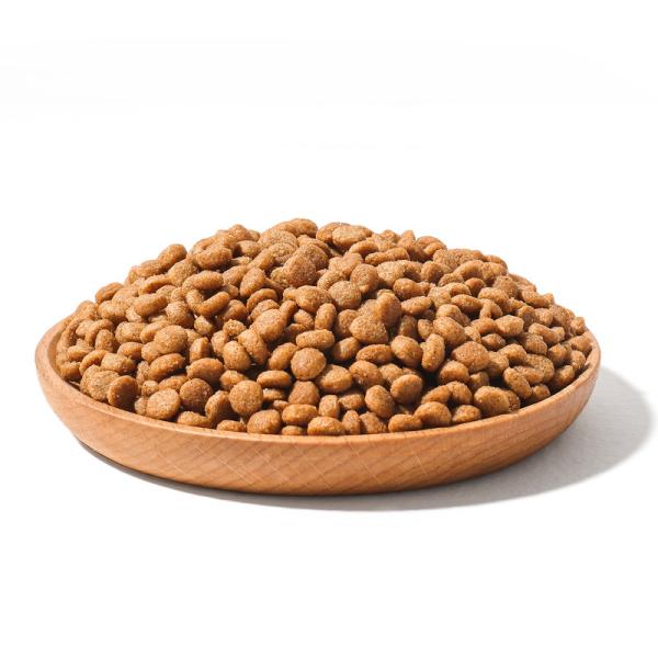 Corn Enriched Dog Food for All Breeds