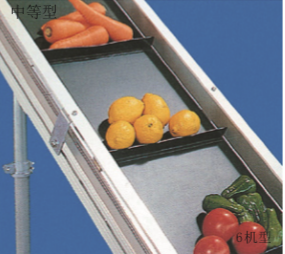 50HZ Stainless Steel Belt Conveyor