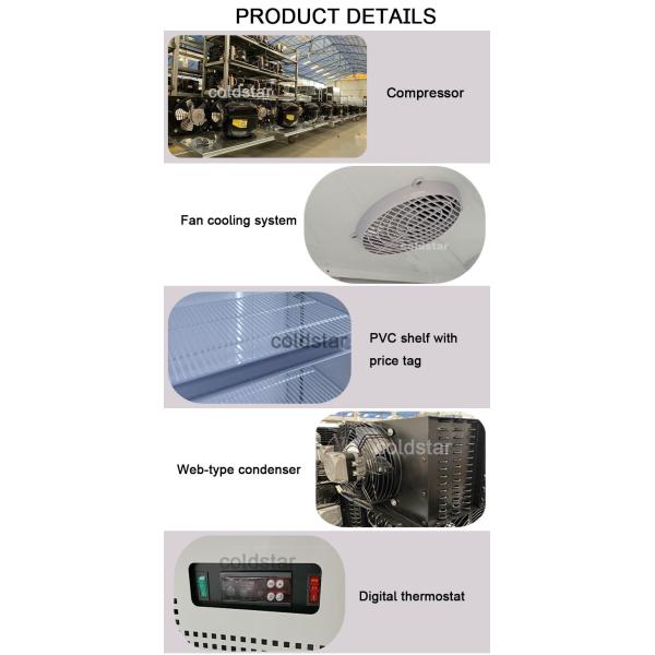 Promotion Product Commercial Vertical Single Temperature Glass Door Freezer Display Showcase