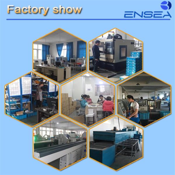 Wenzhou Ensea Trading Co., Ltd.