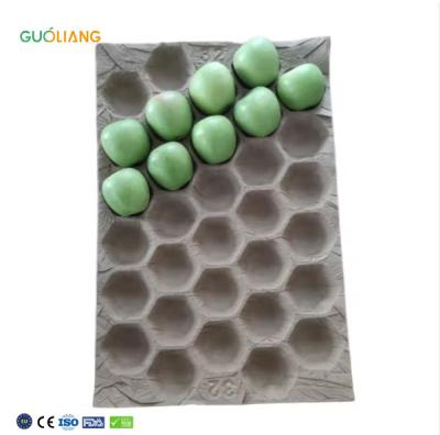 Eco-friendly Fruits &Vegetable Packing Alveoli Mango Packaging Insert Liners Fruit Packaging Insert Papaper  Tray