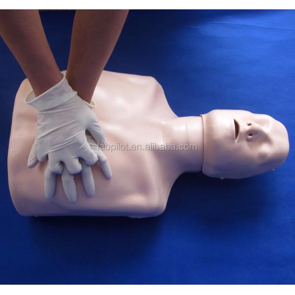Simple Type First Aid Half Body CPR Training Manikin for School Training Facility