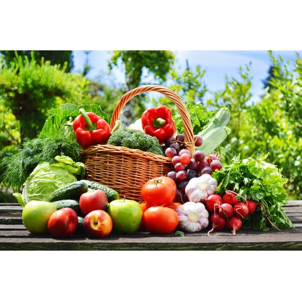 Amino Acid Chelate Calcium The Perfect Solution for Calcium Deficiency in Plants