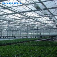Estufa de vidro de Venlo do multi período da agricultura para a plantação do tomate