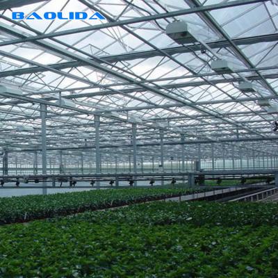 Estufa de vidro de Venlo do multi período da agricultura para a plantação do tomate
