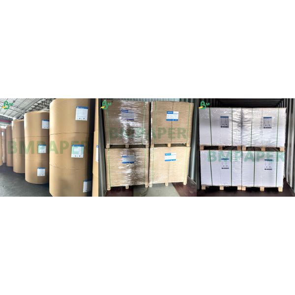 PET Ovenable Paperboard with Special Coating for Frozen Food Packaging