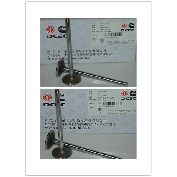 Cummins Spare Parts Cummins L Intake/ Exhaust Valve 3942588 3800340/ 3942589 3800341