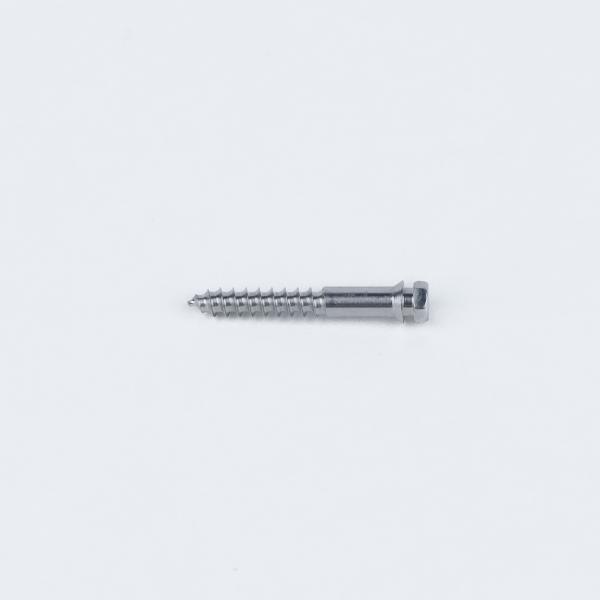2-Pack Orthodontique TAD MSE Titanium Mini vis d'application primaire Micro-implant assisté par une expansion rapide du palais MSE