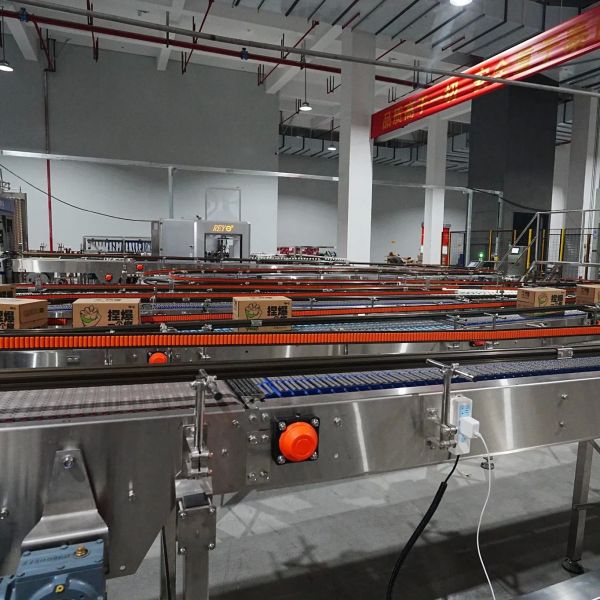 Empaquetadora de cajas envolventes tipo caída totalmente automática con estiramiento mecánico para la industria química