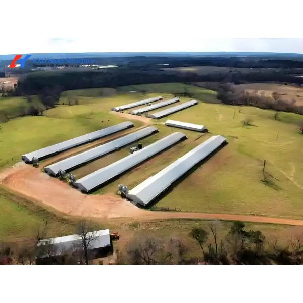 Commercial Building Steel Structure Plant Poultry House For Chicken Shed