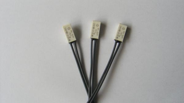 250Vac / 5A, 24Vdc / 8A, BR-B2D AC Thermal Protector / thermostat for automotive heating pad