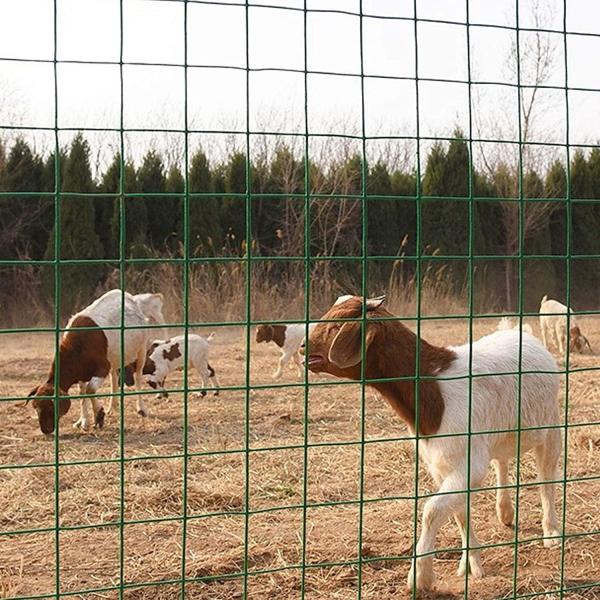 Factory Price Anti-corrosion PVC Plastic Coated Welded Wire Mesh Outdoor Fence Pet Cage Wire Mesh