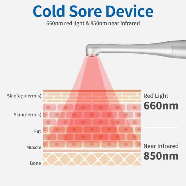 Аппаратура Handheld ультракрасного света EMF оборудования 660nm 850nm физиотерапии низкого устная