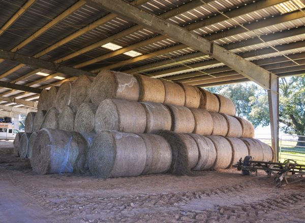 Edificio prefabricado con estructura de acero para almacenamiento de heno - Estructura de vano libre