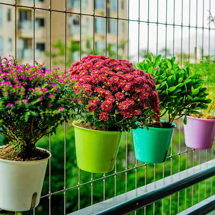 Invisible Grille Flower Pot Clip Crossing 3.0mm Structural Support and Decorative Plant Holders