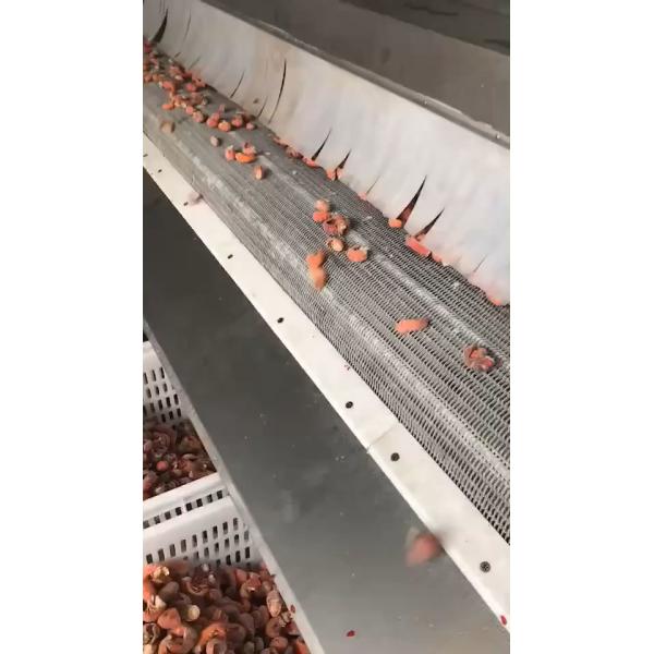 300 кг/ч IQF тоннельная морозильная машина для фри рыбы