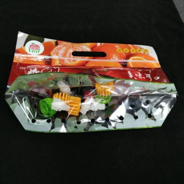 High quality Custom printed grape packaging plastic PP k bag with hole punch