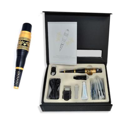 Taiwan à mão Dragon Permanent Makeup Machine Pen AC5V 0.3A 1.35W