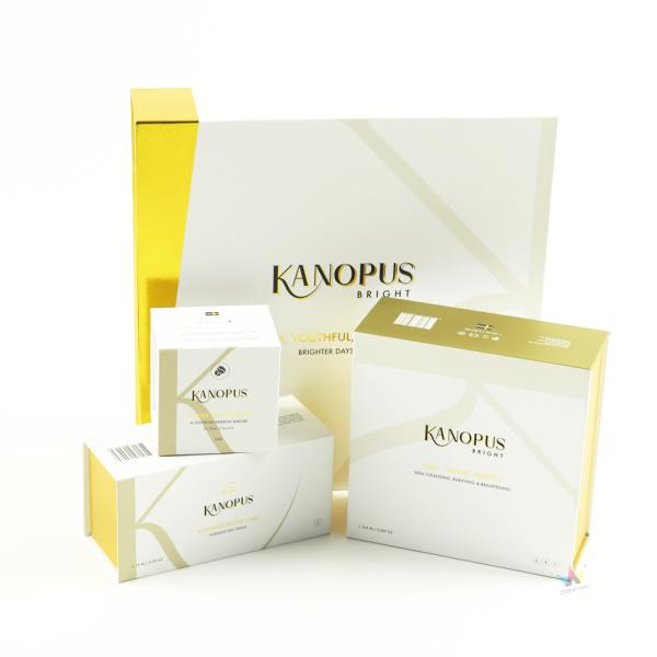 Iso9001 Full Color Printed Boxes 265x205x50mm Skincare Packaging Boxes