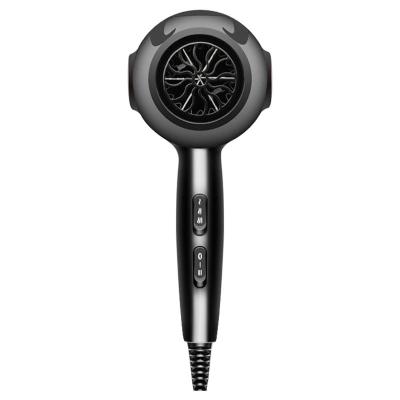 Traditional Black Electric Hair Dryer High Efficiency OEM LOGO Printing