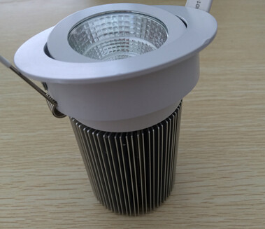 Ceiling led downlight resort hotel use
