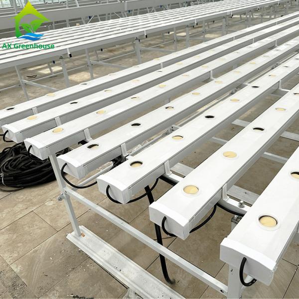 垂直農業 土のない栽培 水栽培 NFT 平方パイプシステム