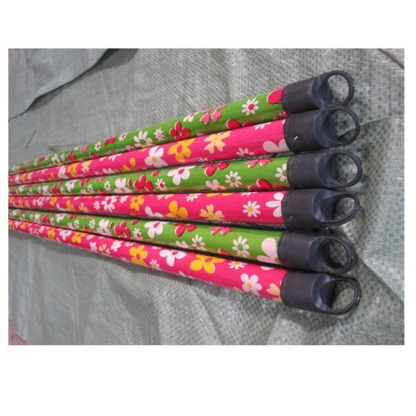 Eucalyptus Natural Wood Plastic Cap 2.5*120cm Dry Mop Stick