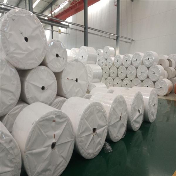 Tree Free White Coated Stone Paper Waterproof 120g 144g 168g 240g Tear Resistant