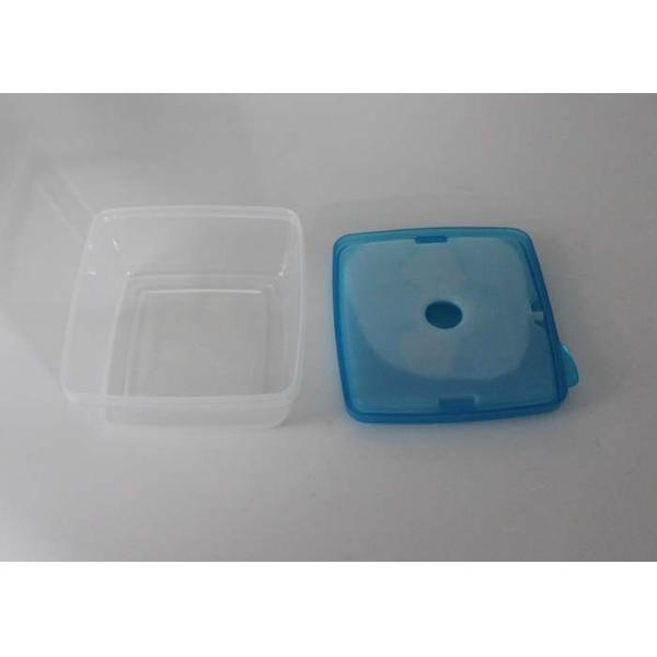 Square Waterproof Plastic Sandwich Box , Non Toxic Lunch Boxes For Work