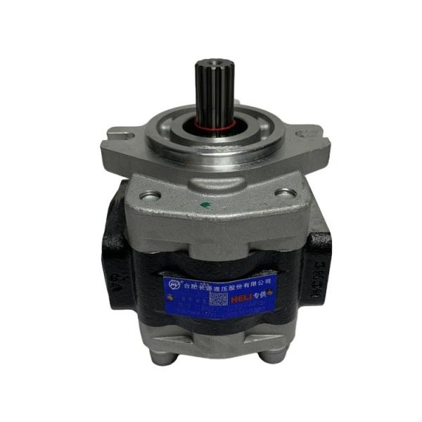 Steel Material Hydraulic Gear Pump with Long Working Life for CPCD50-70 Forklift Model