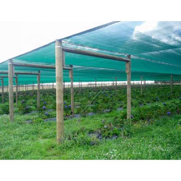 Plant Nursery Gardening Shade Mesh Debris Plain Agro Green Shade Net for Agricultural