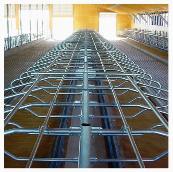 Hot DIP Galvanized Cow Freestall with Customized Size and Bolt Connection for Cattle Farm Equipment