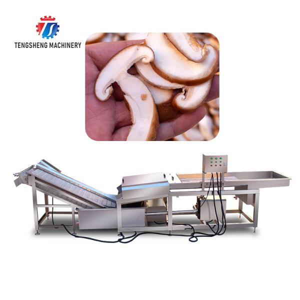 Mushroom slicer Wash Washer Washing Shiitake mushrooms Cleaning Dryer Cutting processing production Machine