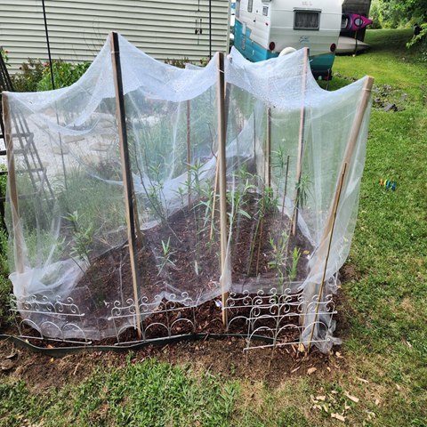 White 50 Mesh 5m Insect Screen For Greenhouse Anti Mosquito Net