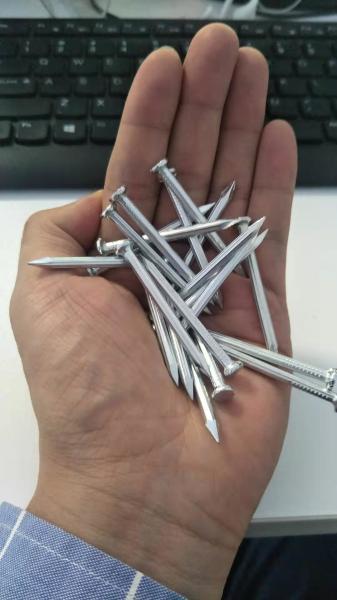 Silver High Carbon Concrete Nails Custom 3/4 Inch - 6 Inch Size