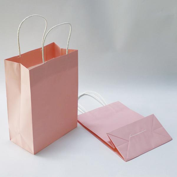 28*22*28cm Printed Paper Carrier Bags