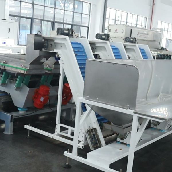Deep Learning Nut Kernel Color Sorting Equipment Multi-Angle Camera 8 Lane High Throughput Walnut Classifier with SS 304