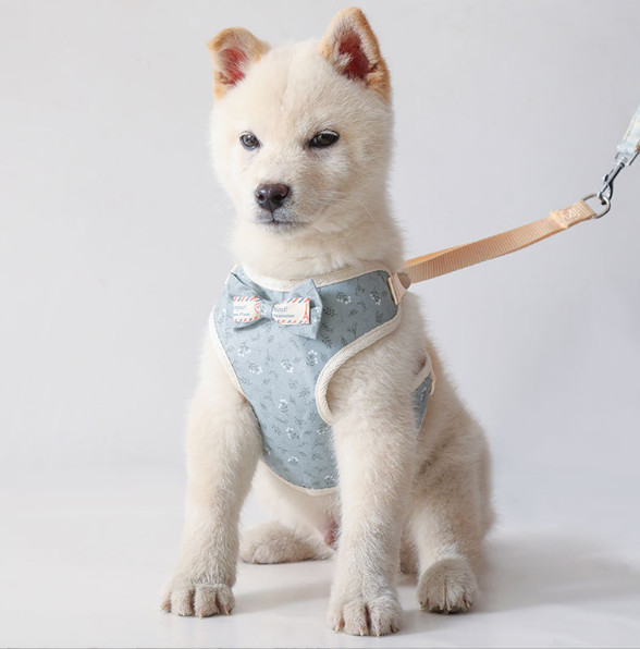 Soft No Pull Adjustable Breathable Mesh Leash And Cat Chest Harness For Puppy