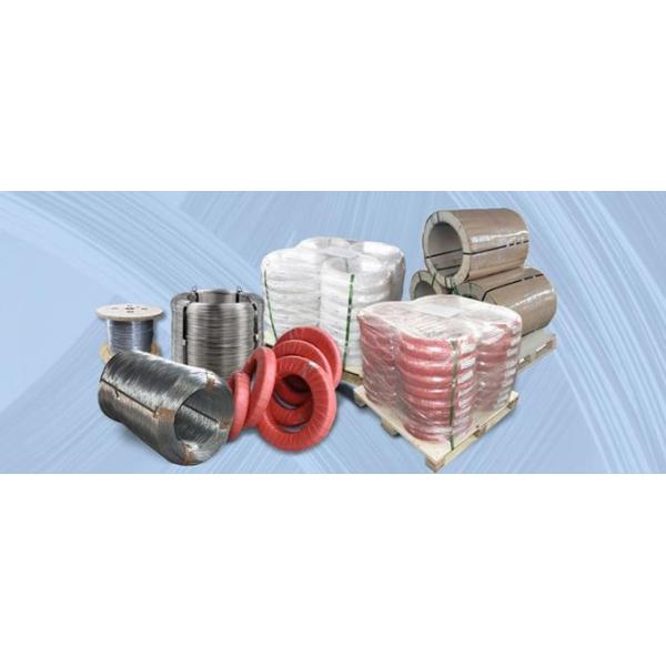 RosH Certified 1.2mm 304 Stainless Steel Spring Wire with Bright Coating and Soap-coated Finish