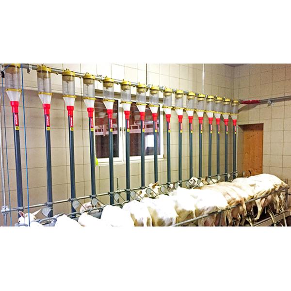 Алюминиевое стекло из сплава металлического металла Конструкция помещения для фермы козов Стальная конструкция Дом для овец Приют PKPM Рисунок