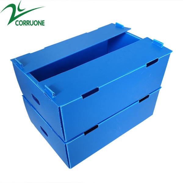Corruone Hot Sale Customized waterproof foldable PP polypropylene sheet Material Vegetable Fruit Packaging and delivery Boxes