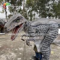 Traje de dinossauro animatrónico Velociraptor vestível: Atração de performance realista para exposições interativas