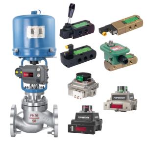 TopWorx TXP-M21GNMM NAMUR Shaft Flame Proof Valve Positioner