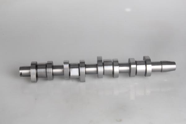 1010063SX Car Engine Camshaft 038109101R for Audi / Skoda / Volkswagen