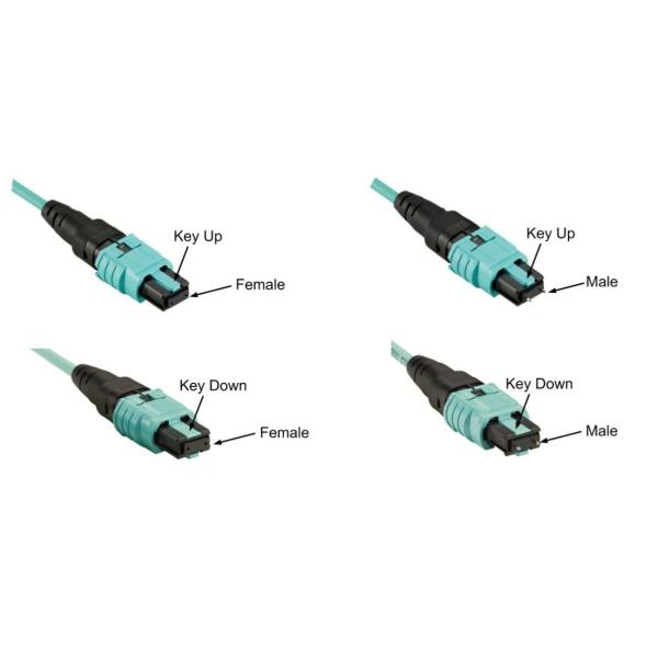 OM3/OM4 MPO Connector Patch Cord 12 Fiber MPO Trunk Cable 8/12/24F MTP MPO Cable