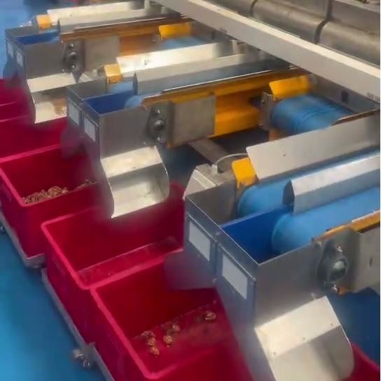 Multi-grade Walnut Kernel Sorting Machine With Intelligent High Output Durable Industrial Sensors For Reliable Processing