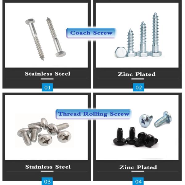 Штрих с шестеренковой головкой Din571 Lag Bolt Coach Screw для стали/SUS304 в крепежных элементах