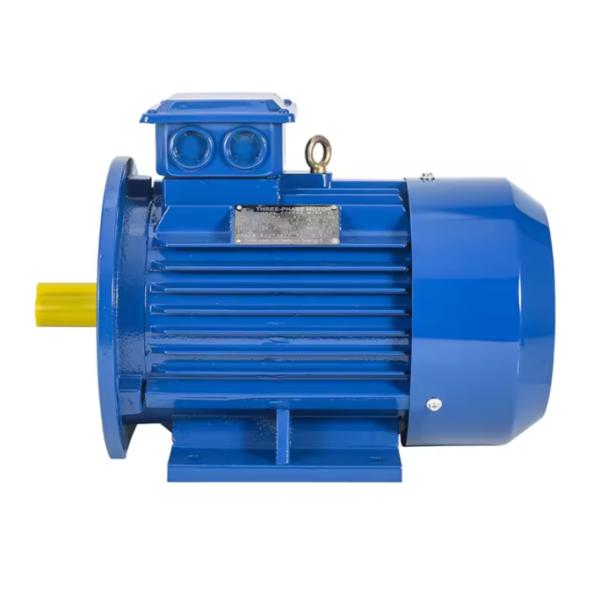 IE3 Трёхфазный асинхронный двигатель 55 kW IP54 IP55 50HZ 15KW-355KW 318V AC Электрический двигатель индукции клеток для белков
