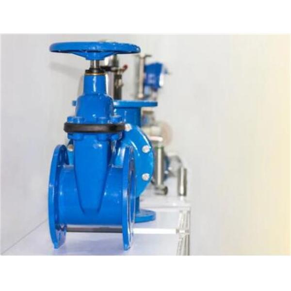 Подгонянное место SS420 промышленного клина запорной заслонки резинового жизнерадостное