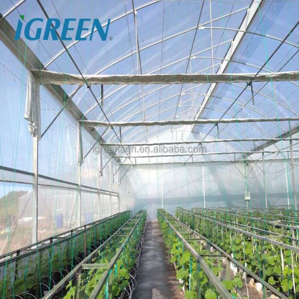 IGreen Multi-Span Agricultural Greenhouse with PE Film Cover Single Layer Customizable Size
